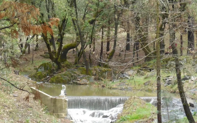 Yosemite Paradise Inn