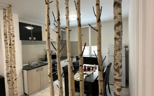 Scandinavia Apartament