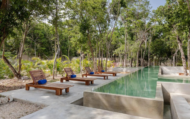 Jungle Lodge Boutique Hotel Adults Only