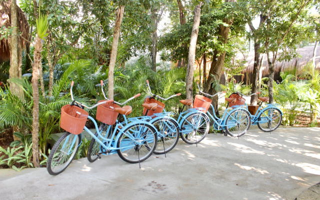 Kimpton Aluna Tulum by IHG