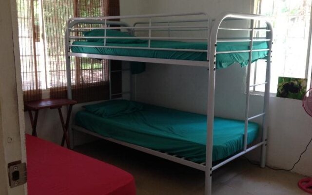 Naturaleza Mar y Rio