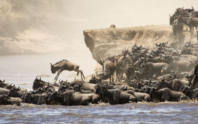 Basecamp Masai Mara