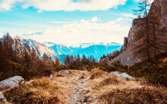 Central house in Borno