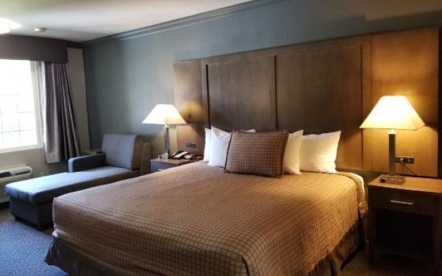 Willow Tree Inn