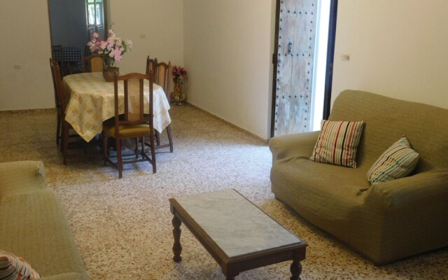 Spacious Villa Ideal Families and Groups