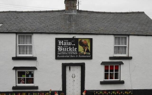 Hawk and Buckle