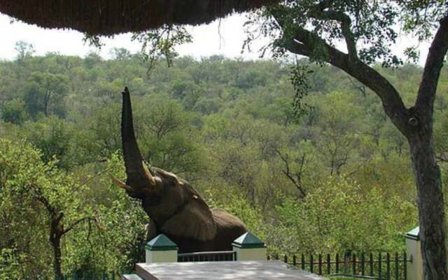 Muweti Bush Lodge