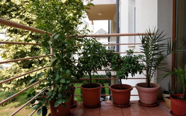 Mandarin Wellness Apartman
