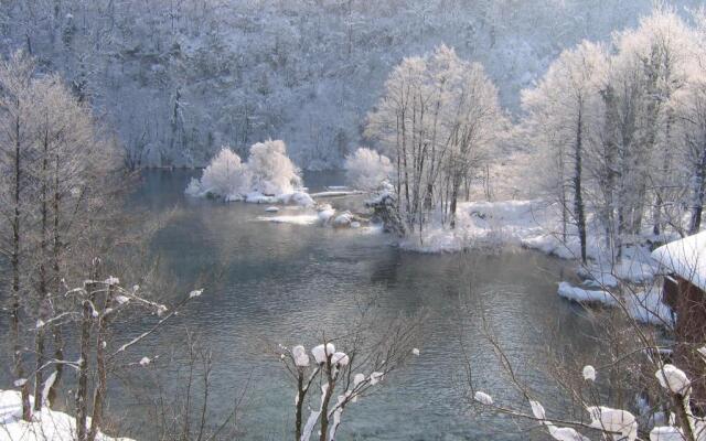 Zeleni Kut