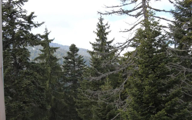 Flora Apartments by Balkan PMS-Borovets