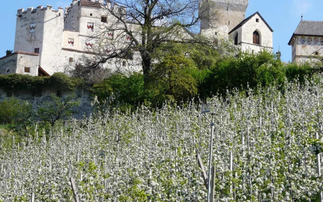 B & B Apartments Ortlerblick