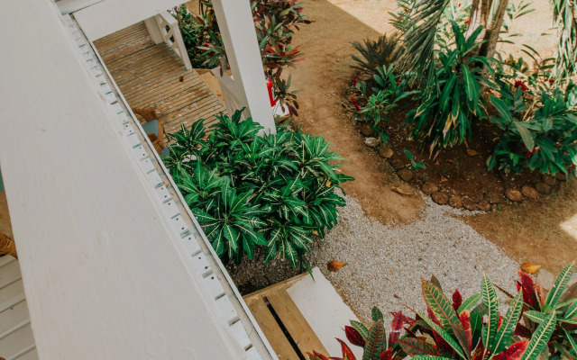 Mosquito Boutique Hotel