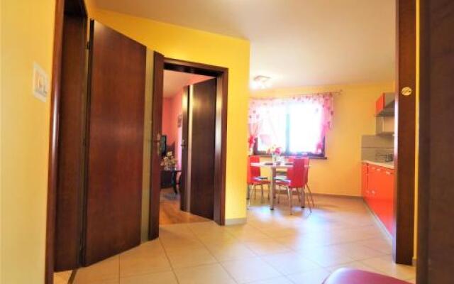 Apartament Widokowy Maki