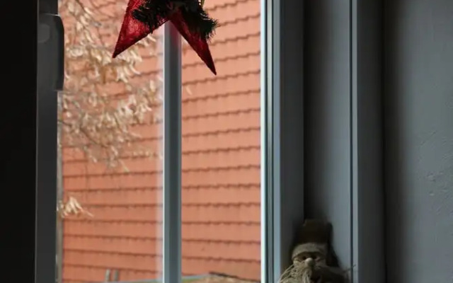 Ferienwohnungen Am Markt