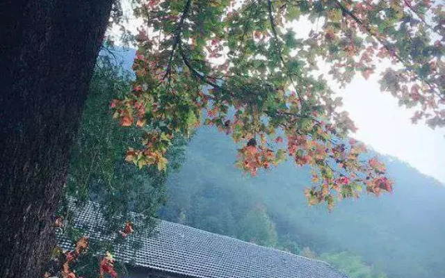 Yannanqi Inn in Yongjia