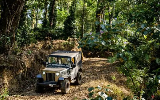 Zostel Coorg (Madikeri)