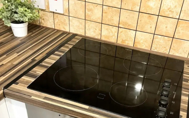 London Stylish 1 Bedroom Apartment With Garden