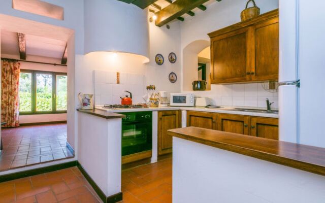 Bardeggiano - Caterina 3 (COL246)