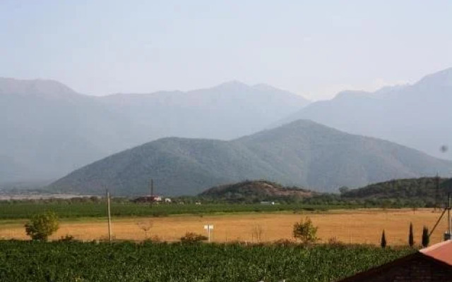 Shaloshvili's Cellar Hotel