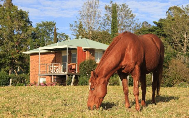 Seasons of Maleny B&B