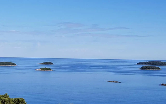 The Istrian