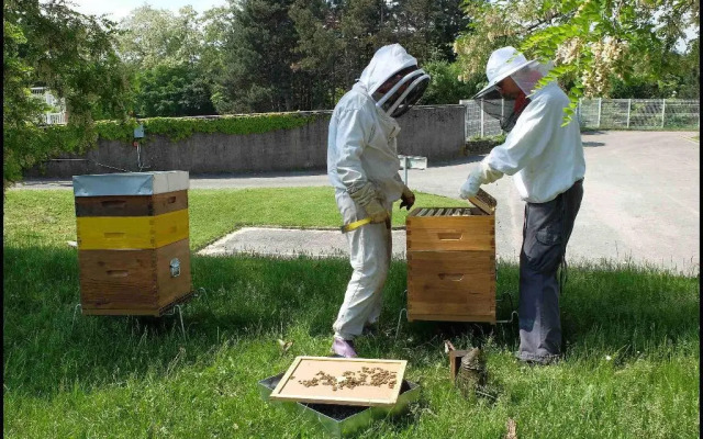 Premiere Classe Lyon Nord - Dardilly