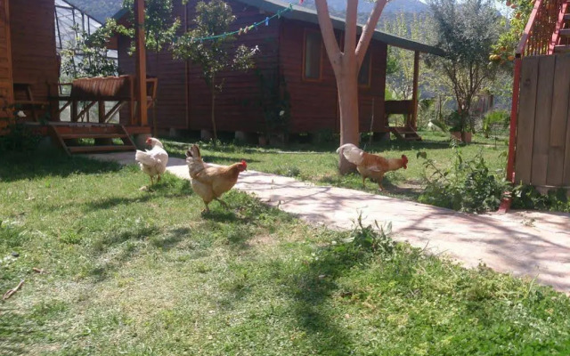 Sera Pansiyon