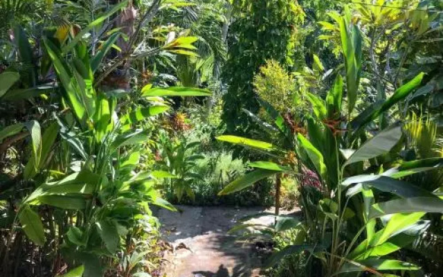 Solaluna Beach Homestay