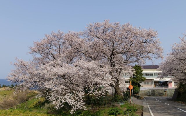 Takasusou