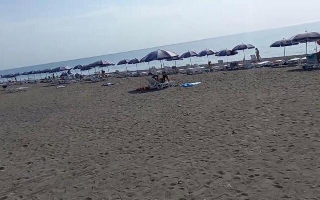 4 sezona