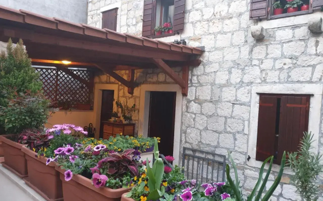 Apartments and Rooms Villa Lina