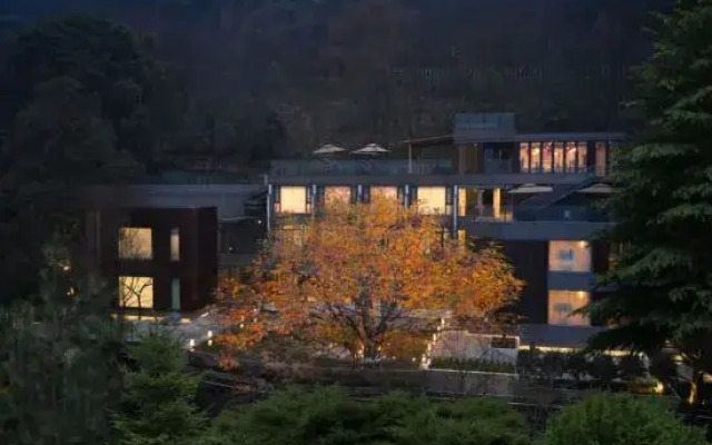 Qingsu Qingcheng private Tang forest