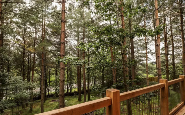 Pine Marten Lodge