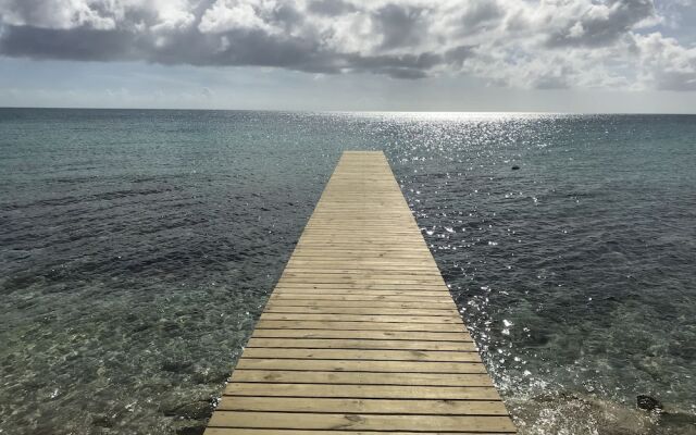 Buttonwood Reserve 2D