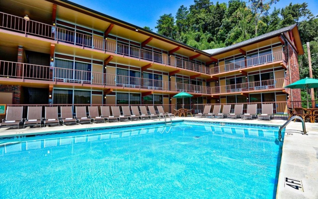 Wild Bear Inn