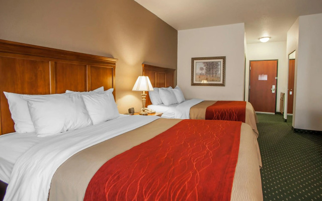 Comfort Inn & Suites Davenport - Quad Cities