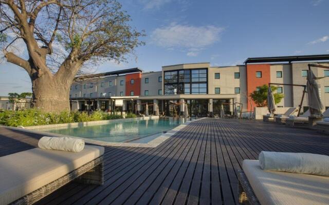 The VIP Executive Baobab