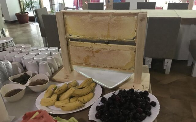 Hotel Saint Nedelya