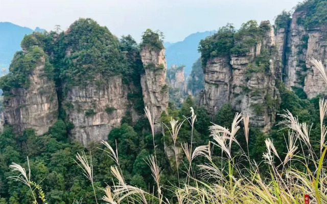 CLOUD Pillow Creek Private Homestay