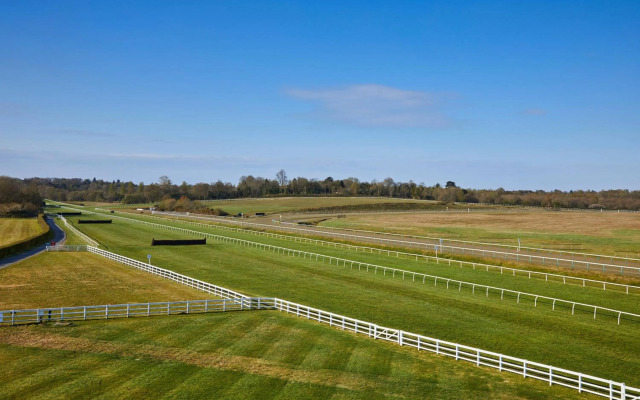 Lingfield Park Marriott Hotel & Country Club