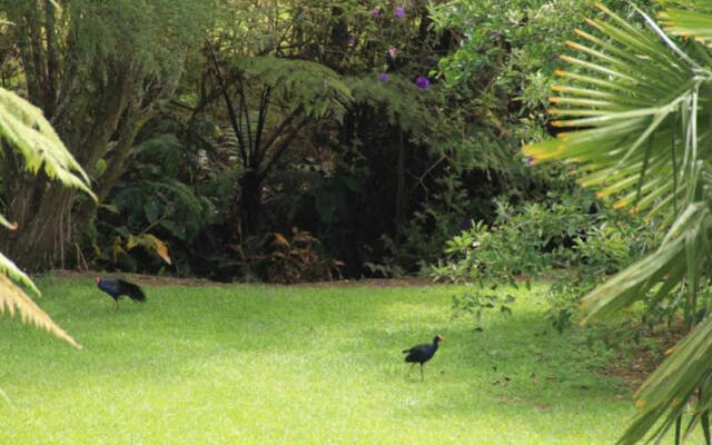 Fantail Lodge Backpackers