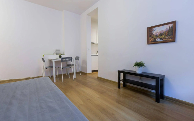 Penguin Apartments Downtown Strzelecka