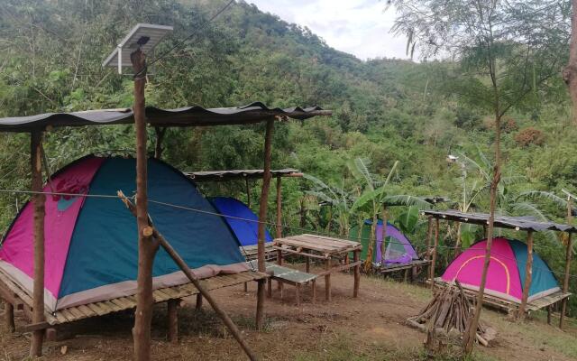 Camping Paradise and Singalong Mountain Garden