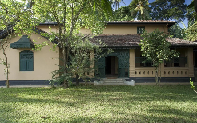 Cinnamon Tree, Kandy