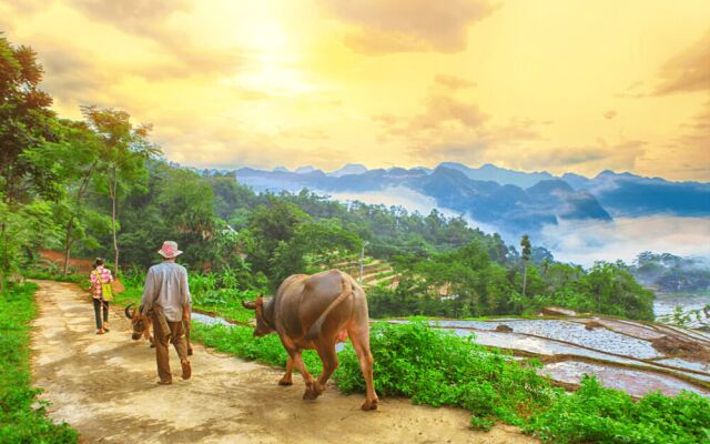 Resort Pù luông Boutique Garden