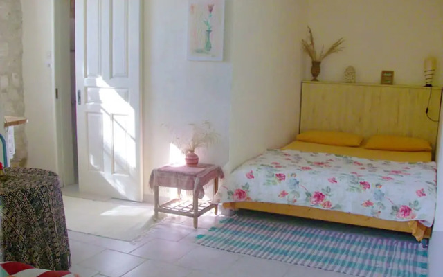 House Lemoni - Studio