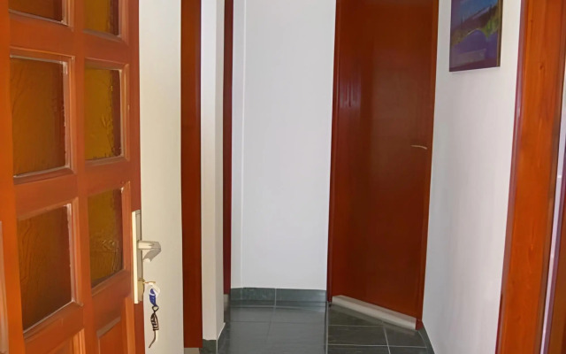 Apartments Svorcan