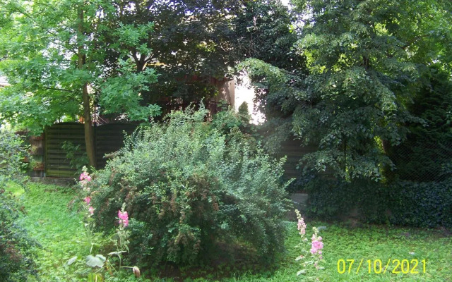 Zielony Apartament, Kielce, Targi, Centrum