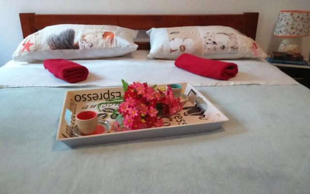 Apartment Vladka