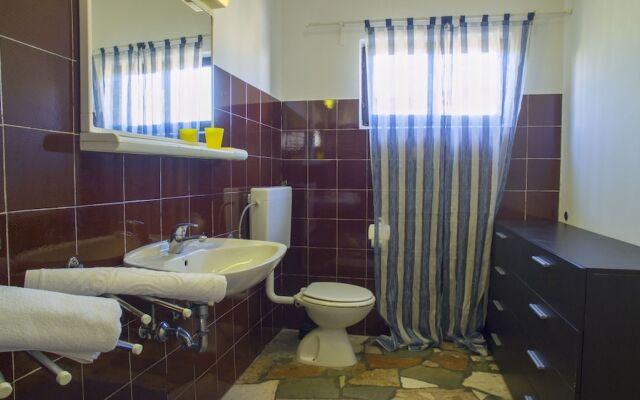 Victorious VIScovery Blue